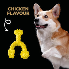 Tasty Bone Nylon Trio Toy Dog - Chicken