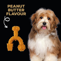 Tasty Bone TrioBone | Nylon Dog Chew for Toy Dogs (Peanut Butter Flavoured) | Exceptionally Tough, Promotes Healthy Teeth & Gums | Triple The Fun | (Made in the UK from 100% Virgin Nylon)