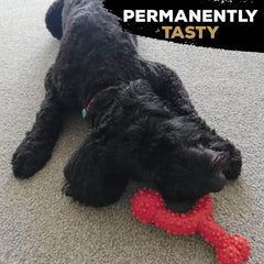 Tasty Bone Nylon Trio Dog Chew Toy, Durable & Indestructible Chew for Small Dogs, Beef Flavor