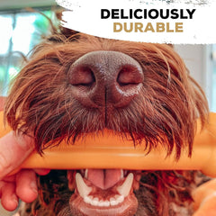 Tasty Bone Nylon Dog Chew Toy, Durable & Indestructible Chew for Large Dogs, Bacon Flavor