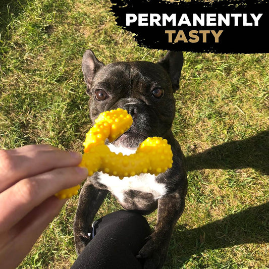 Tasty Bone Nylon Trio Toy Dog - Chicken