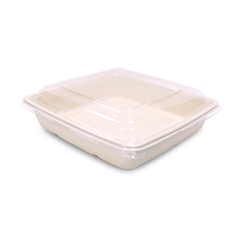 Bagasse Square Food Containers with PET, PP & Bagasse Lids – Eco-Friendly Packaging