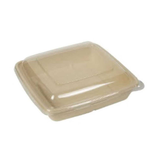 Bagasse Container 1000ML Pet Lid 1X300 Pieces - Your One Stop Solution UAE