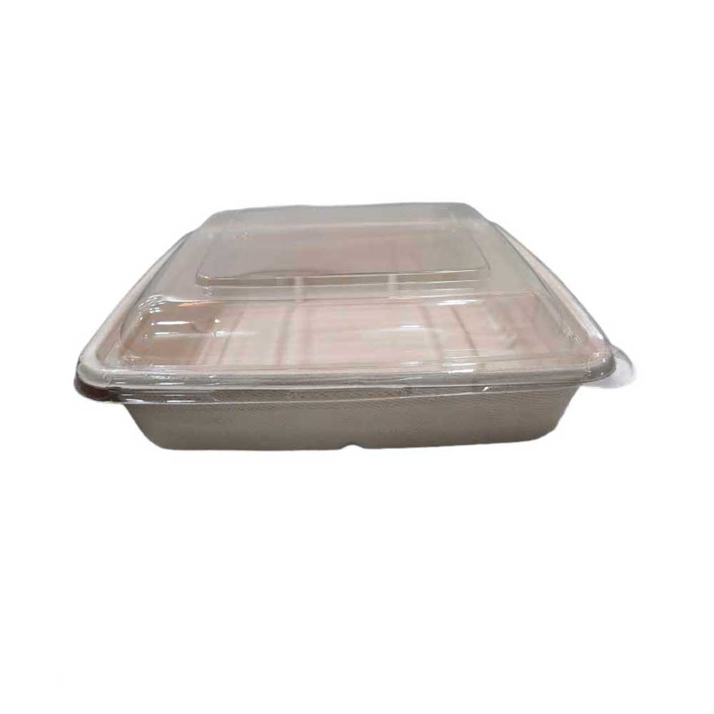 Bio-Degradable Rectangular Container 1000 ML Pet Lid 50 Pieces