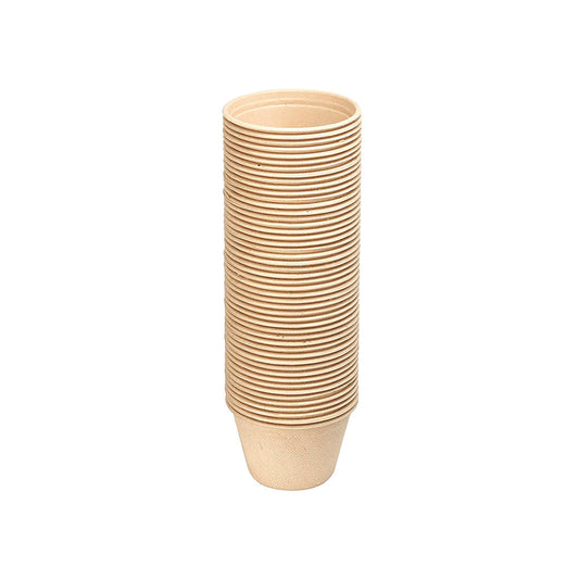 Bagasse Sauce Cup With Clear Lid 4 OZ 1X1000 Pieces - Your One Stop Solution UAE