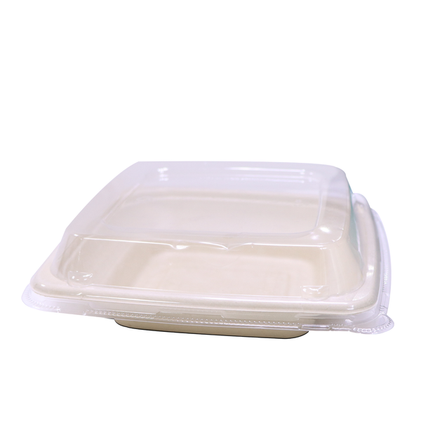 Bagasse Square Deep Containers with PET Lids – EG16 to EG42 | Eco Takeaway Boxes
