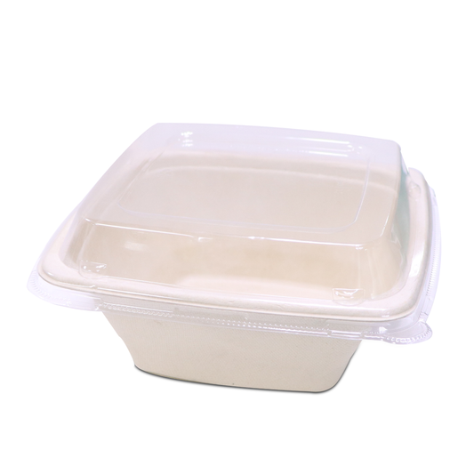 Bagasse Square Deep Containers with PET Lids – EG16 to EG42 | Eco Takeaway Boxes