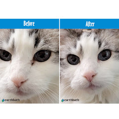 Earthbath Hypoallergenic Eye Wipes (Witch Hazel & Aloe) – 30 Wipes