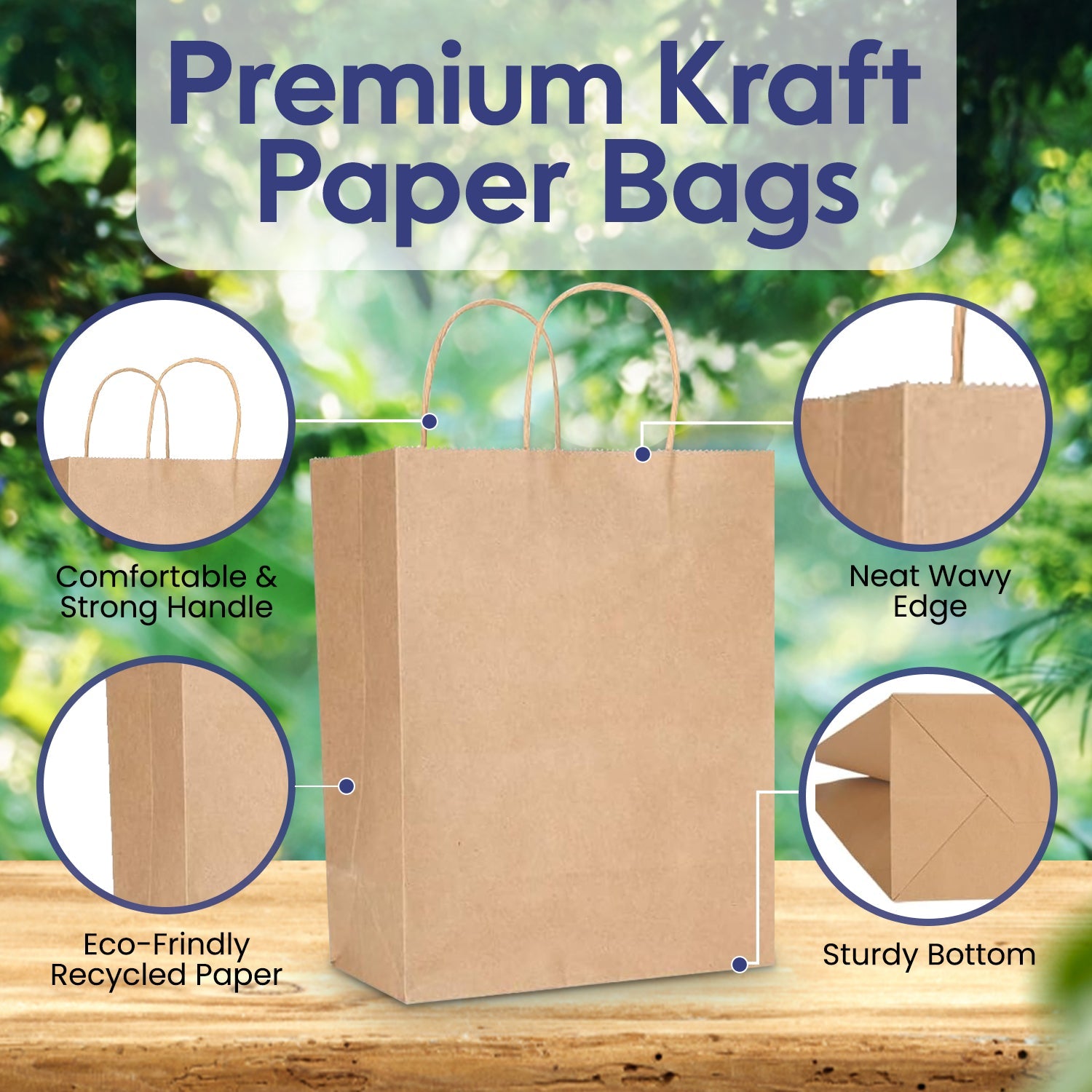 Kraft Paper Bag Twisted Handle 10 Pieces