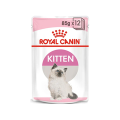 Royal Canin Feline Health Nutrition Kitten Jelly (WET Cat FOOD - Pouches)