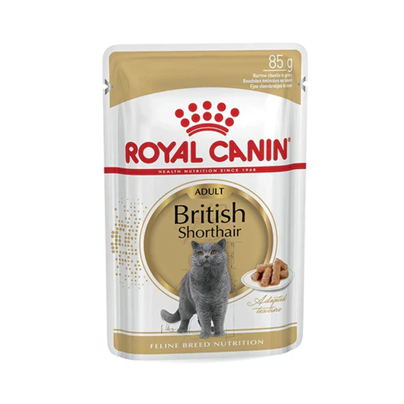 Royal Canin Feline Breed Nutrition British Shorthair (WET FOOD - Pouches)