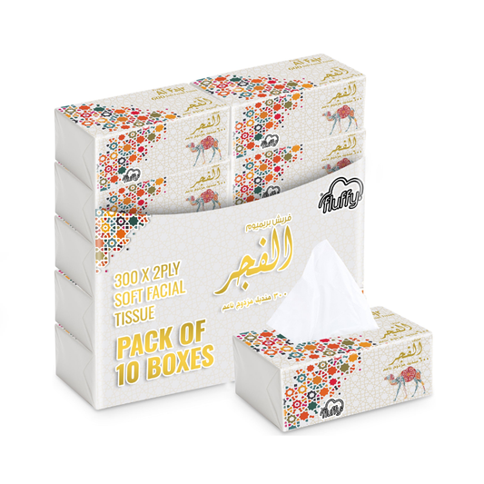 Al Fajr Nylon Tissue 300x2PLY (Total 600 Sheets) – 5BXS PKT