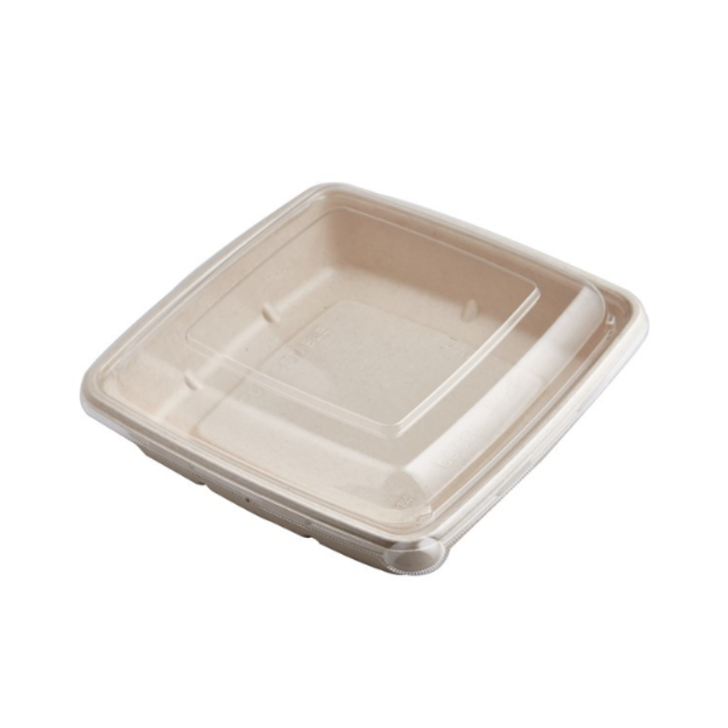Bagasse Square Containers with Lids | Multiple Sizes | Bulk Eco-Friendly Takeaway
