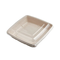 Bagasse Square Food Containers with PET, PP & Bagasse Lids | Multiple Sizes | Eco-Friendly Takeaway