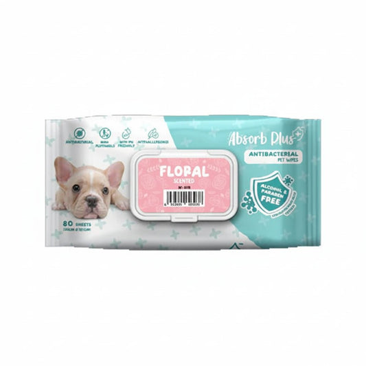 Absorb Plus AntiBacterial Pet Wipes Floral Scented - 80PCS - SNH Packing