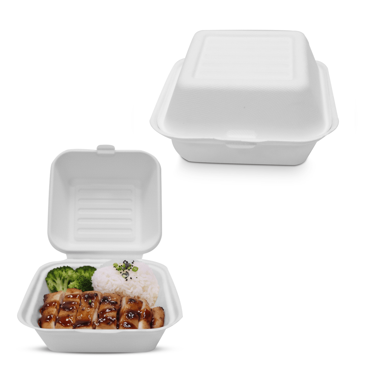 Bagasse Lunch Boxes – Eco - Friendly Biodegradable Disposable Boxes - SNH Packing