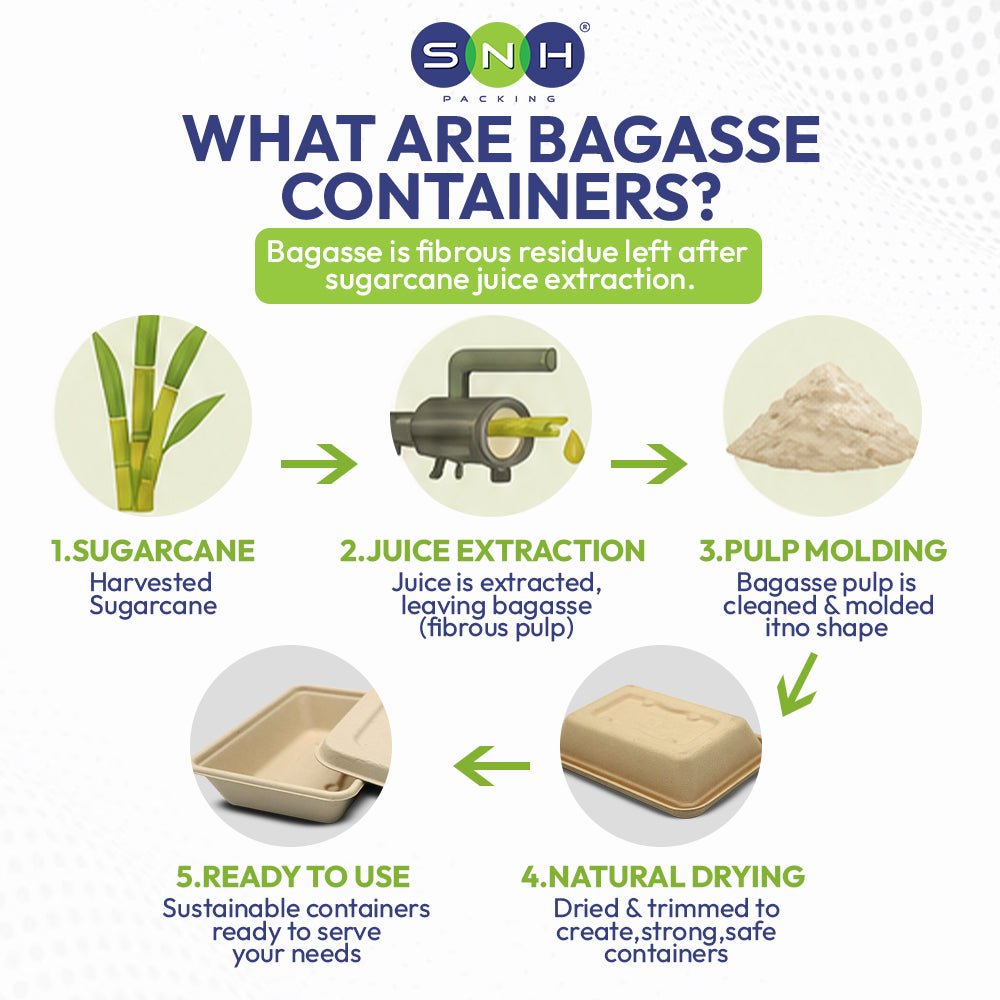 Bagasse Oval Container 1000ml with PP Lid - 500 Pieces | Wholesale Disposable Food Container UAE - SNH Packing