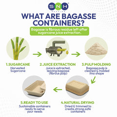 Infographic explaining the process of making bagasse containers with SNH Packaging logo.