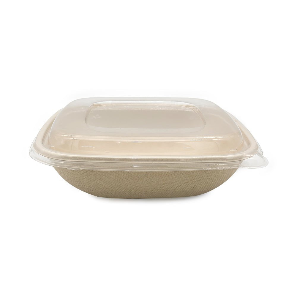Bagasse Square Containers with PET & PP Lids | Eco Friendly Takeaway Boxes - SNH Packing