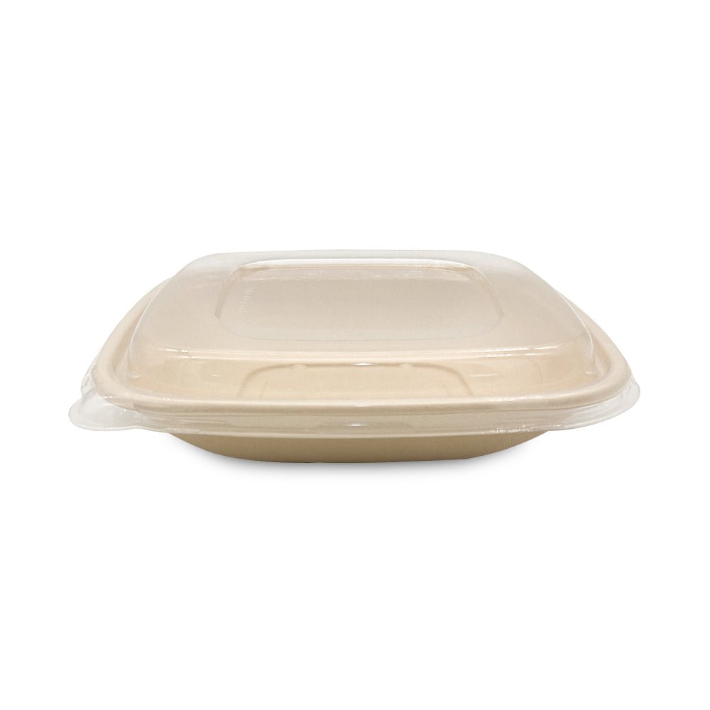 Bagasse Square Containers with PET & PP Lids | Eco Friendly Takeaway Boxes - SNH Packing