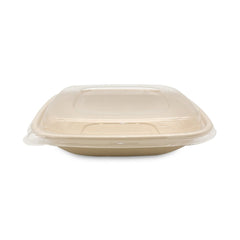Bagasse Square Containers with PET & PP Lids | Eco Friendly Takeaway Boxes - SNH Packing
