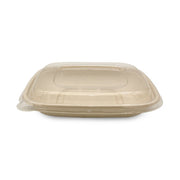 Bagasse Square Containers with PET & PP Lids for Takeaways