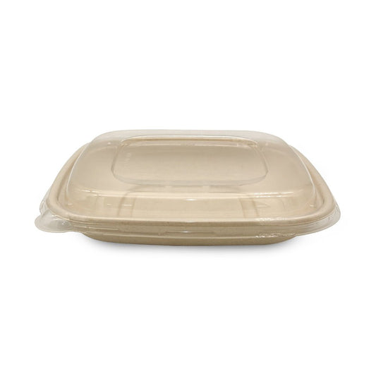Bagasse Square Containers with PET & PP Lids | Eco Friendly Takeaway Boxes - SNH Packing
