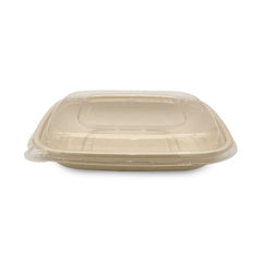 Bagasse Square Containers with PET & PP Lids | Eco Friendly Takeaway Boxes - SNH Packing
