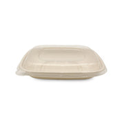 Bagasse Square Containers with PET & PP Lids for Takeaways