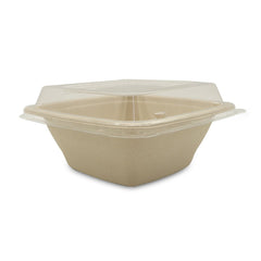 Bagasse Square Deep Containers with PET Lids 16oz to 42oz - SNH Packing