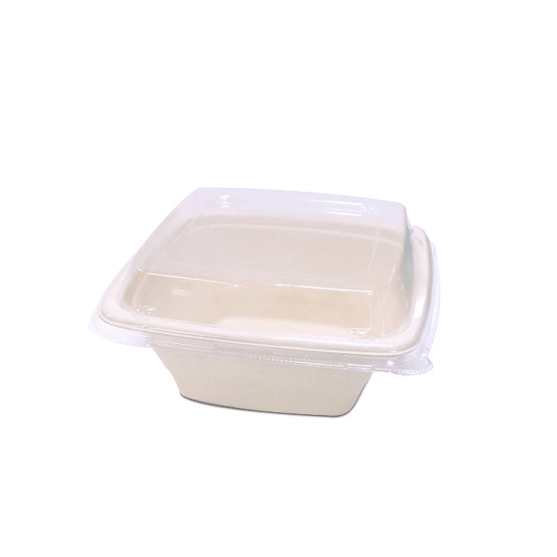 Bagasse Square Deep Containers with PET Lids - SNH Packing