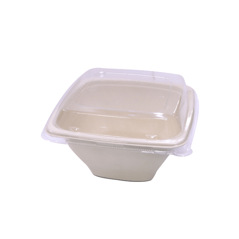 Bagasse Square Deep Containers with PET Lids - SNH Packing