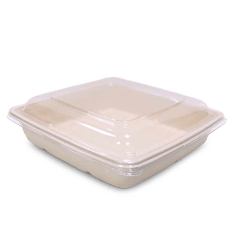 Bagasse Square Food Containers with Lids | Eco - Friendly Packaging - SNH Packing