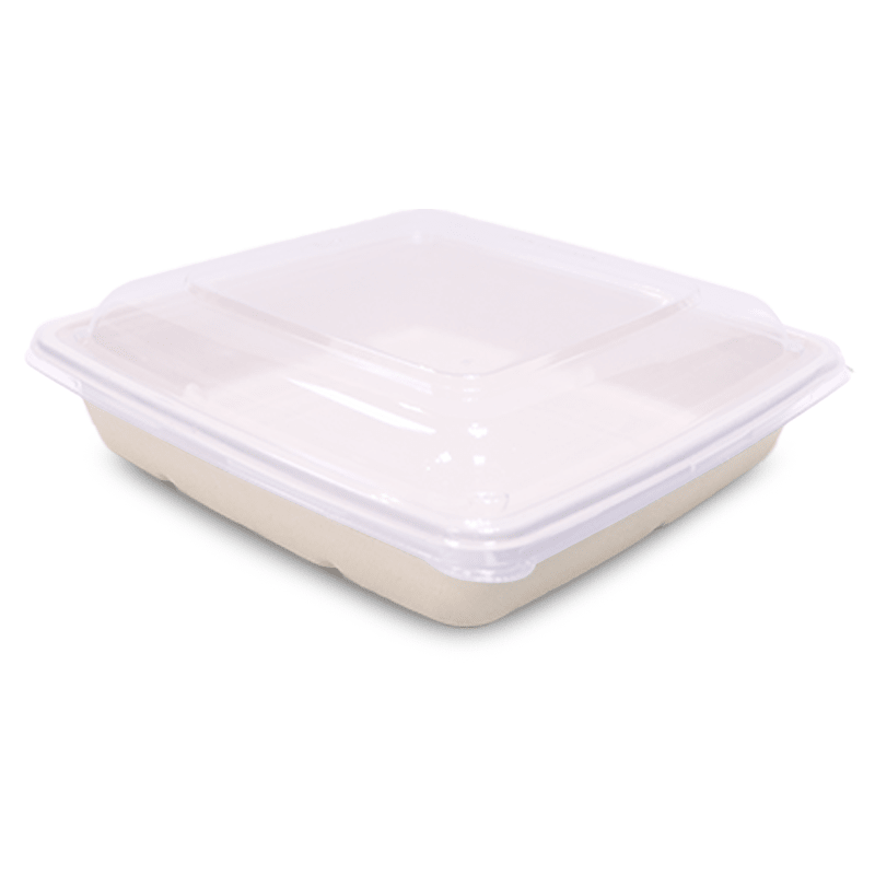 Bagasse Square Food Containers with Lids | Eco - Friendly Packaging - SNH Packing