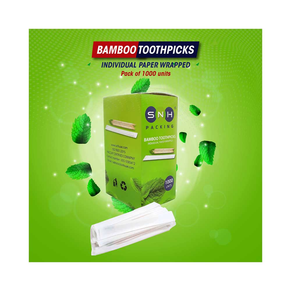 Bamboo Wooden Toothpicks 1000 Pieces Wrapped Box Natural Wood - SNH Packing