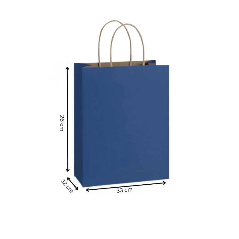 Blue Paper Bags with Twisted Handles | Durable Carry Bags - SNH Packing