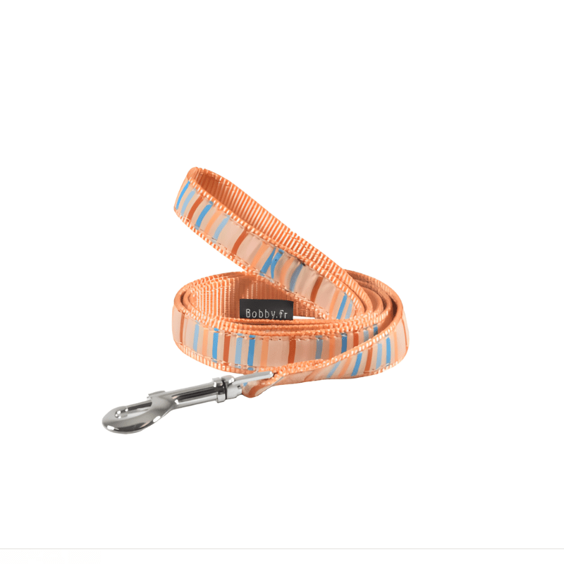 Bobby Nala Leash - Apricot / Medium - SNH Packing
