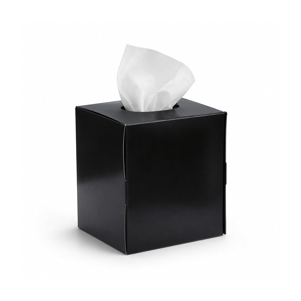 Boutique Facial Tissue 2 Ply Soft 6 Boxes Multiple Colors - SNH Packing