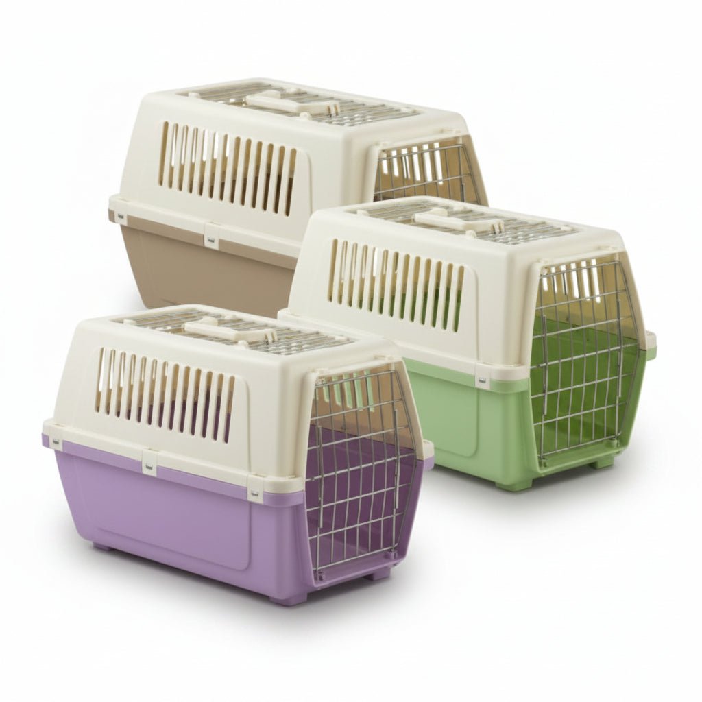 Carrier Vision 55 Free 54 x 36 x 36h MIX COLOR - SNH Packing