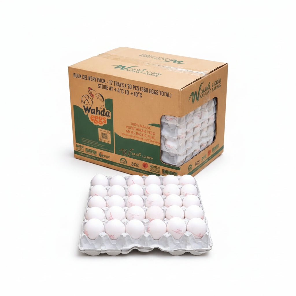 Chef Delight Medium Eggs Dark Yolk 12 Trays x 30 Eggs (360 Eggs) - SNH Packing