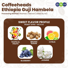 Coffeeheads Ethiopia Guji Hambela Premium Arabica Coffee Beans - SNH Packing