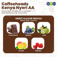 Coffeeheads Kenya Nyeri AA Premium Arabica Coffee Beans (Specialty Grade) - SNH Packing