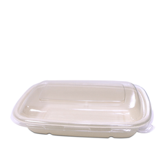 Bagasse Rectangular Containers with Lids – Multiple Sizes | Bulk Eco-Friendly Disposable Takeaway Boxes