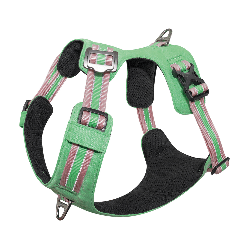 DOCO VERTEX Reflective Ultralight Mesh Harness X.Large [Neck 58-69cm;Chest 72]-Salt Lake - SNH Packing