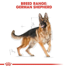 Royal Canin Breed Health Nutrition German Shepherd Adult 11 kg