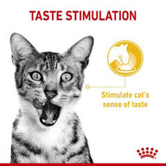Royal Canin Feline Health Nutrition Sensory Taste Gravy (Wet Food - Pouches) 12 x 85 g