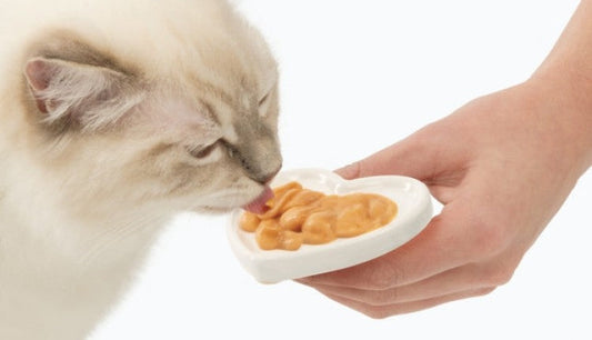 Catit Creamy Lickable Treats, Chicken & Lamb, 12pk/box