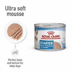 Royal Canin Health Nutrition Starter Mousse (Wet Food - Cans) 12 x 195 g