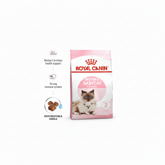 Royal Canin Feline Health Nutrition Mother and Babycat 2 kg