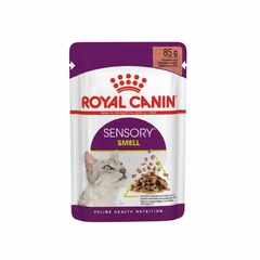 Royal Canin Feline Health Nutrition Sensory Smell Gravy (Wet Food - Pouches) 12 x 85 g